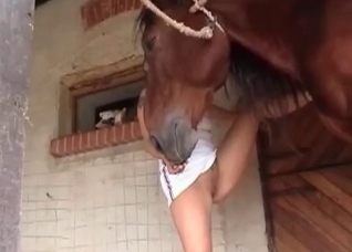 Horse and my sister in the barn