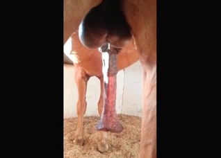 Just look at this animal dick
