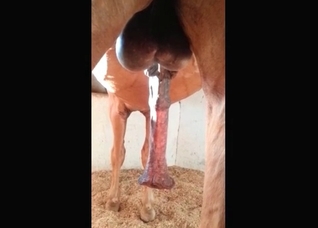 Just look at this animal dick