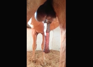 Just look at this animal dick