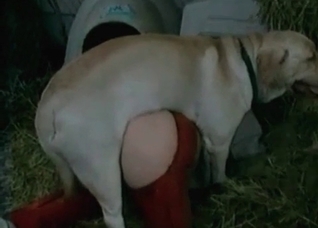 Zoophilic dog sex in the hayloft