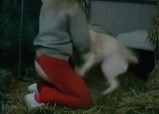 Zoophilic dog sex in the hayloft