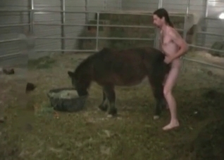 Small pony screwed in the ass