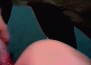 Dildo and Doberman in the zoo porn