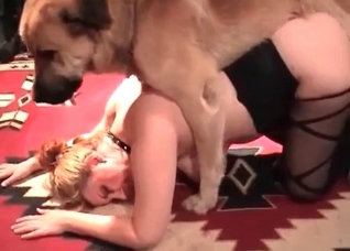 Huge animal dick fills my twat