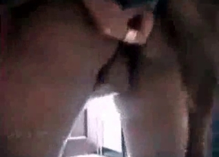 That dog can fuck me all day