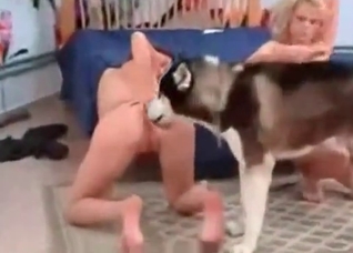 Two bitches and sweet animal