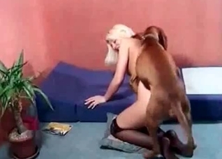 This doggy is better than my hubby