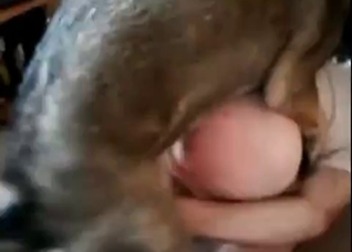 Dog is actually exploding her cunt