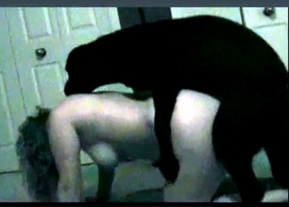 Nice training in the zoo porn