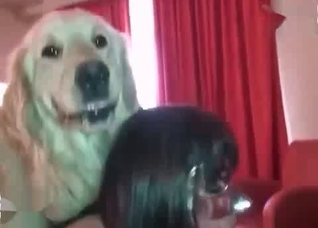 Yes this doggy can fuck like a pro