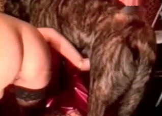 Nice ass for the bestial banging