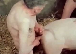 Gentlemen enjoys his farm animal