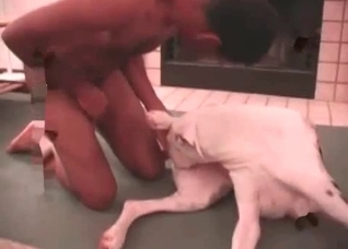 Anal fingering in the zoo porn