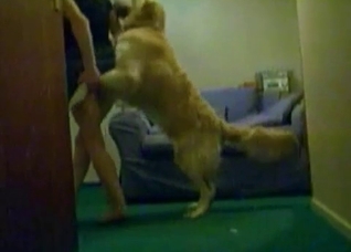 Revealing my cunt for a doggy