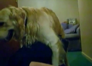 Revealing my cunt for a doggy