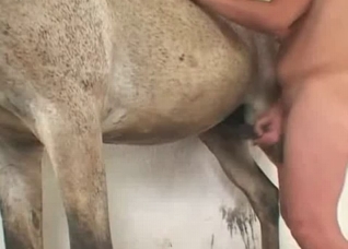 Good animal cock in my twat