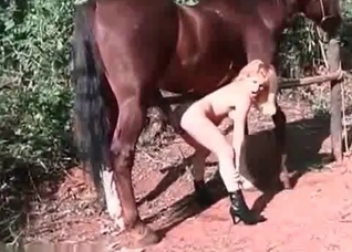 Just rubbing a big horse prick