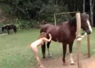 Horse enjoys their sexy movements