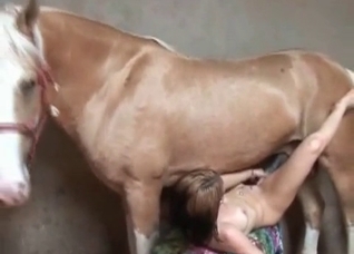 Horse smiles and moans so hot