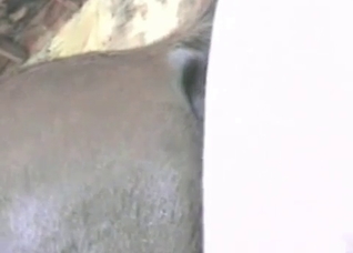 Wet horse anus is ok for sex
