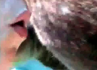 Slowly sucking a juicy horse dick