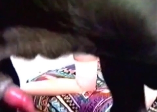 Doberman tries to pound her cunt