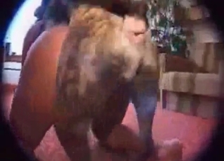 Fast sex with a horny doggy