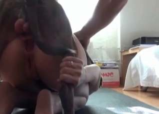 Anal stretching in the zoo porn