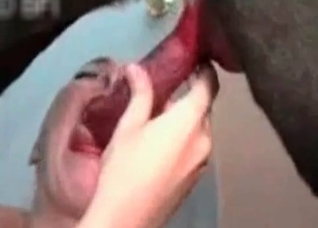 Asian blows her trained animal