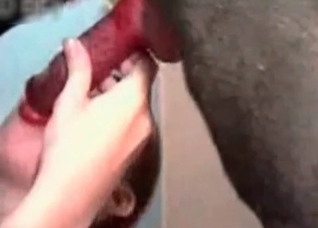 Asian blows her trained animal