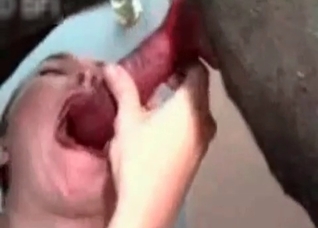 Asian blows her trained animal