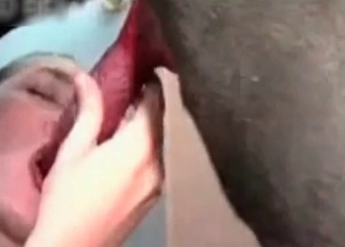 Asian blows her trained animal