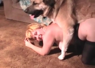 Yes you can suck this doggy cock