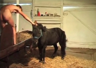 Touching my lovely black pony