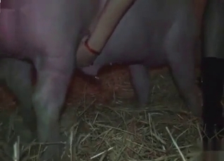 Pig want to fuck me from behind
