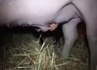 Pig want to fuck me from behind