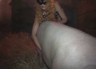 Pig want to fuck me from behind