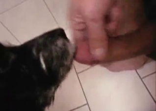 This pet adores his dick