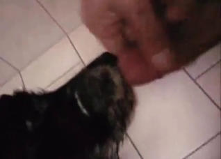 This pet adores his dick