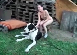 First dog sex experience
