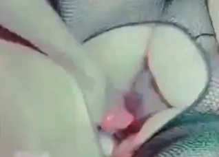 Hairy hole drilled by a puppy