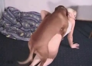 Fast and passionate pet sex action