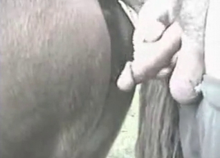 Slowly banging a nice farm animal