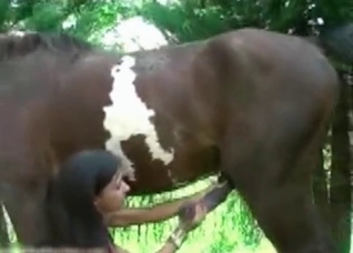Crazy oral creampie by a stallion