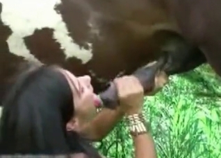 Crazy oral creampie by a stallion