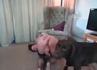 Playful dog and slender host