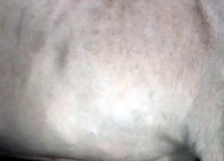 White animal fills out her puss