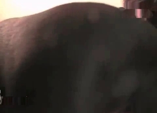 Watch me sucking a pet wiener