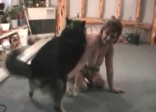 Fat slut and her gifted husky